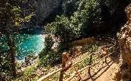 Walking in the Pelion