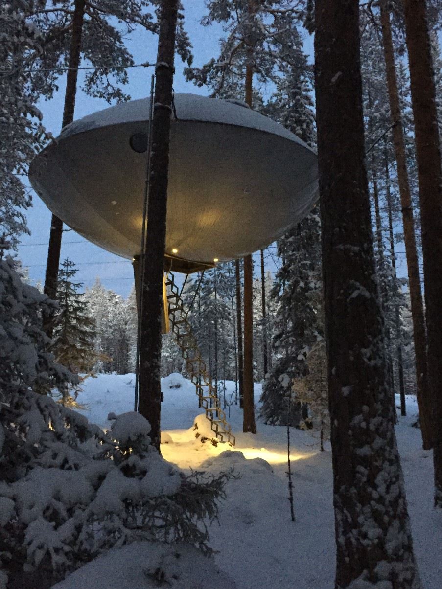 Treehotel, Swedish Lapland