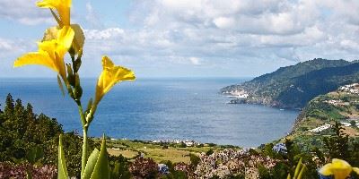 Pico, Azores