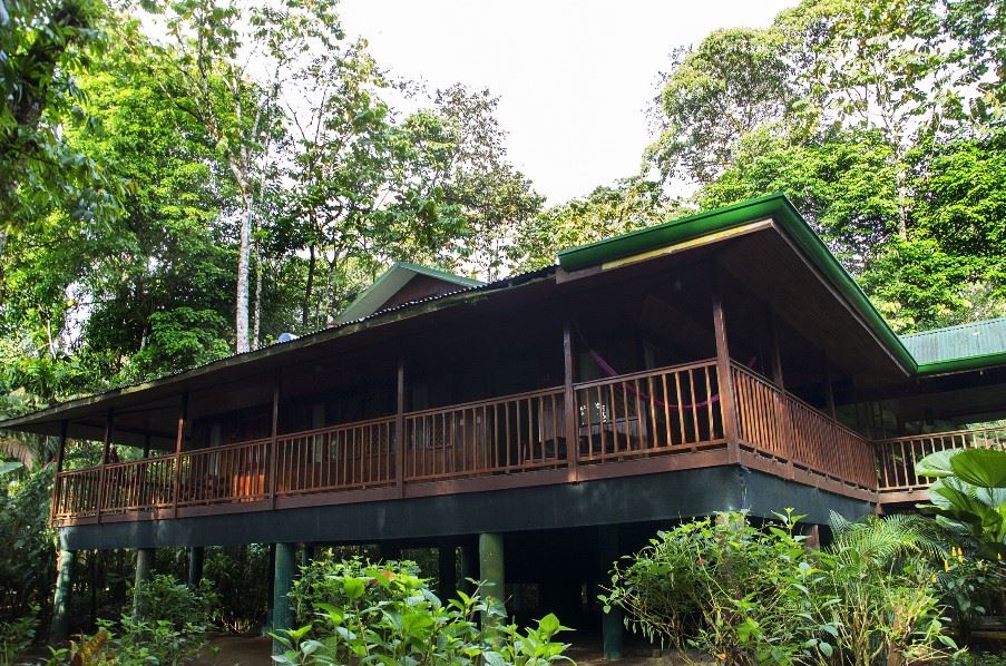 Selva Verde Lodge, Sarapiqui
