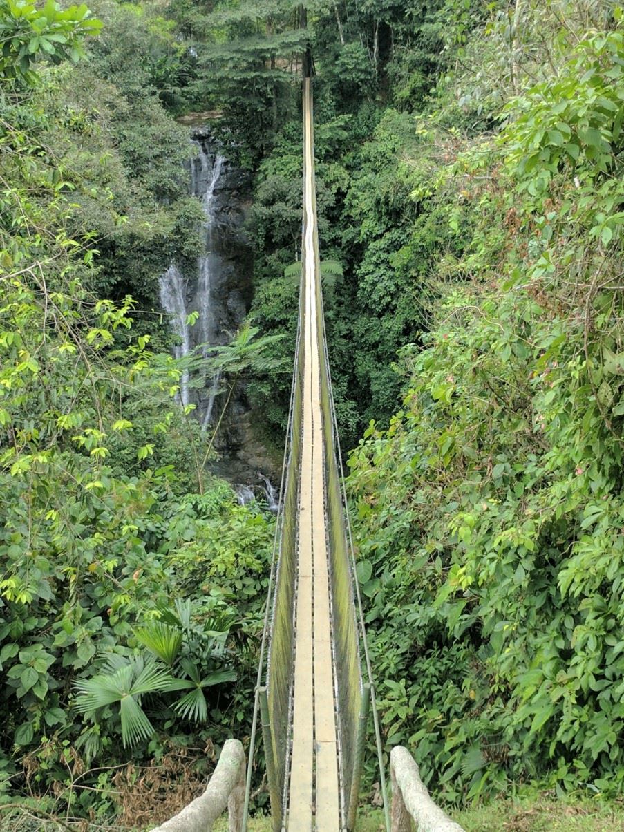 Suspension bridge on the Aqua hike tour