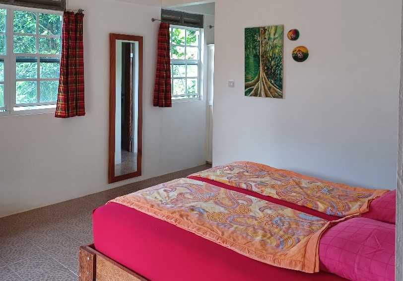 Jungle View Studio