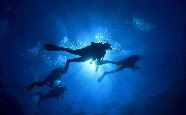 Diving, Sao Miguel, The Azores