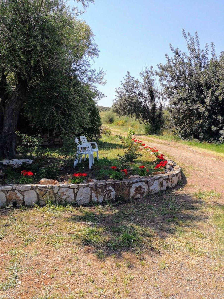 Gardens of the upper part of the estate