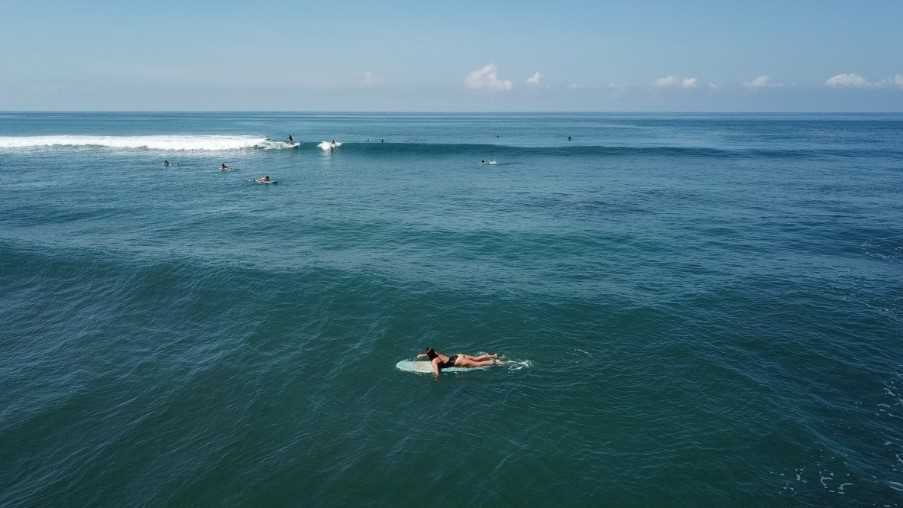 Surfing