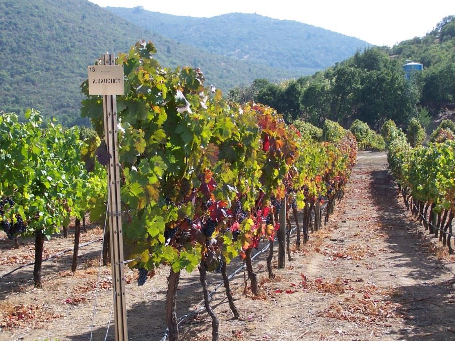 La Casona at Matetic Vineyards, Central Valley, Chile