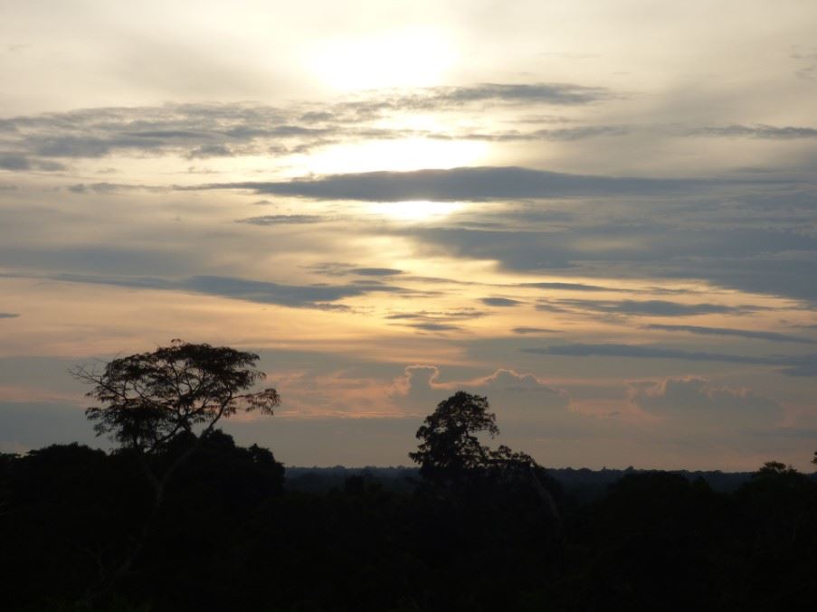 Canopy Trail, Posada Amazonas