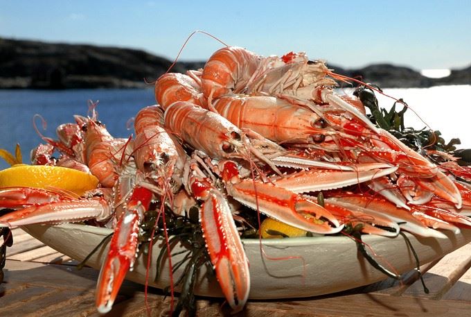 Crayfish buffet