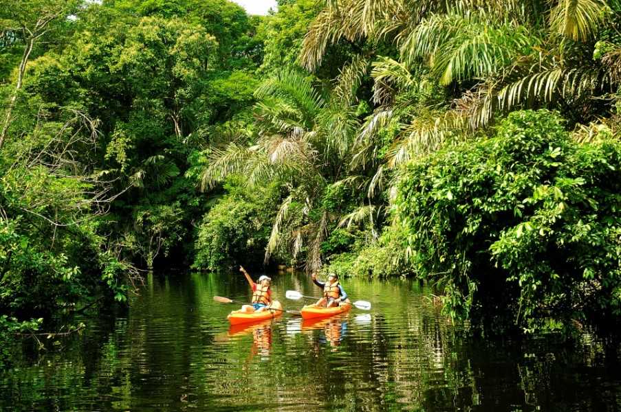 Tortuguero National Park, Costa Rica