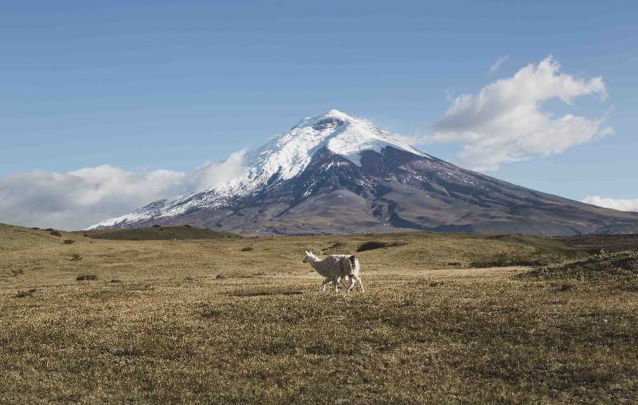 Avenue of the Volcanoes