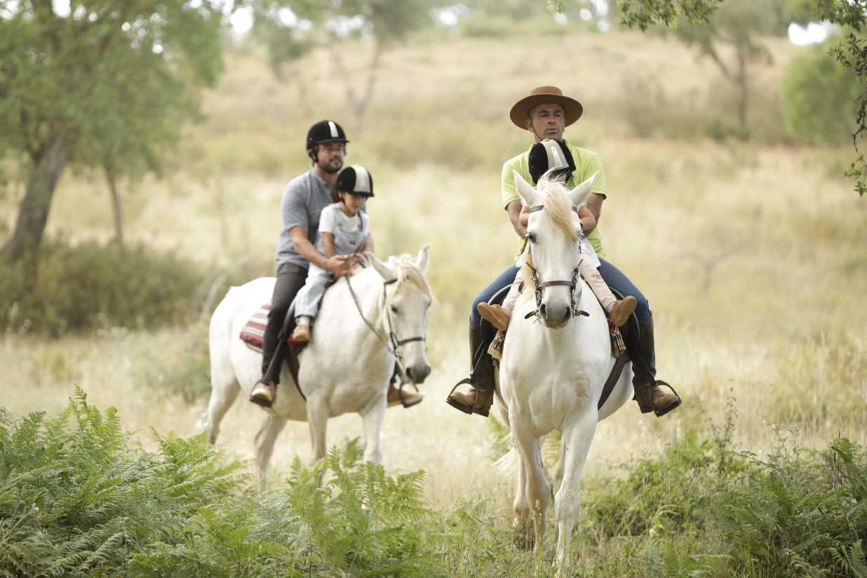 Herdade da Matinha Country House