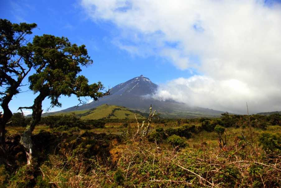 Mount Pico