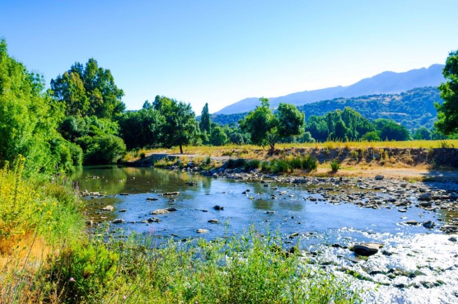 Parque Natural Los Alcornocales, Spain