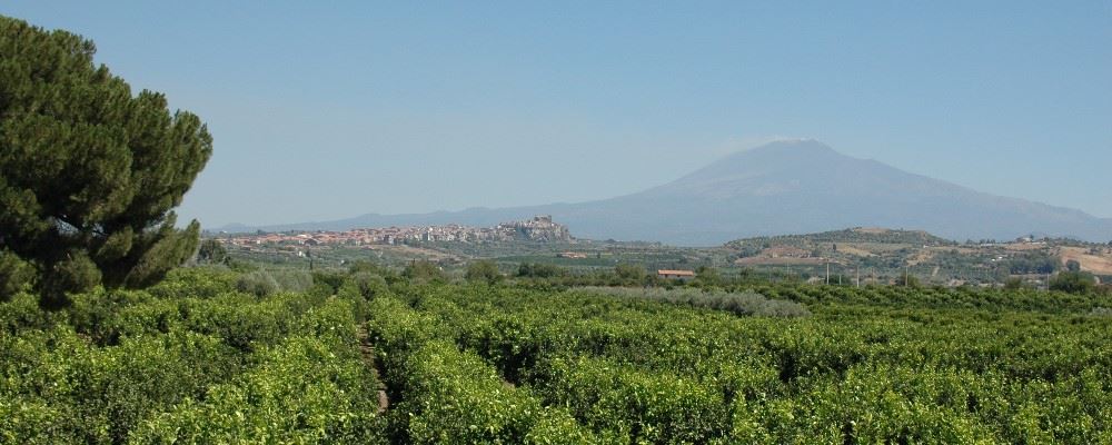 Mount Etna, Sicily