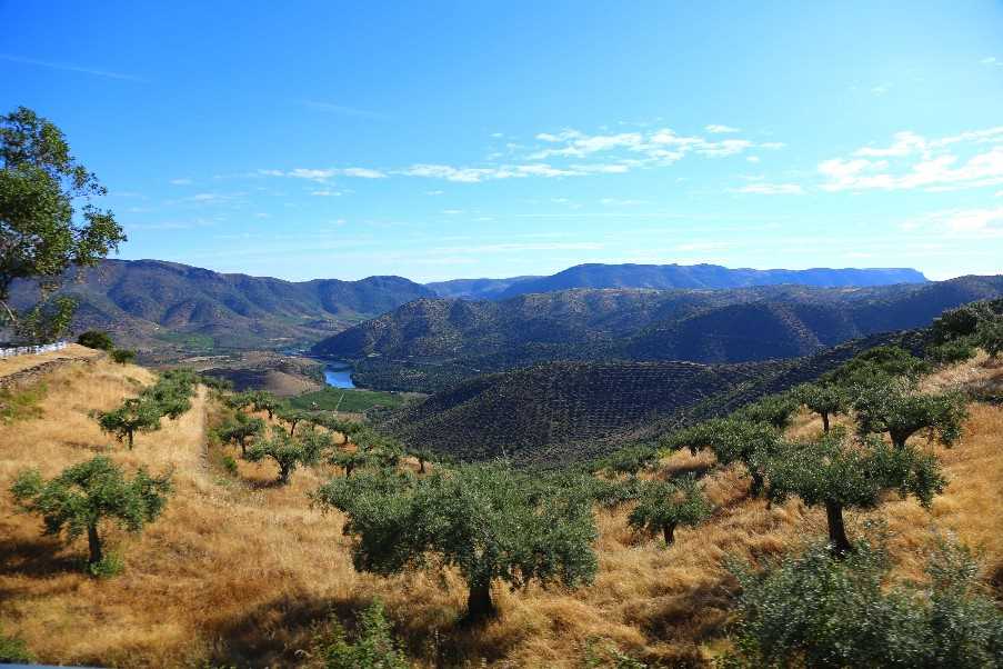 Barca D’Alva to Vilar de Amargo