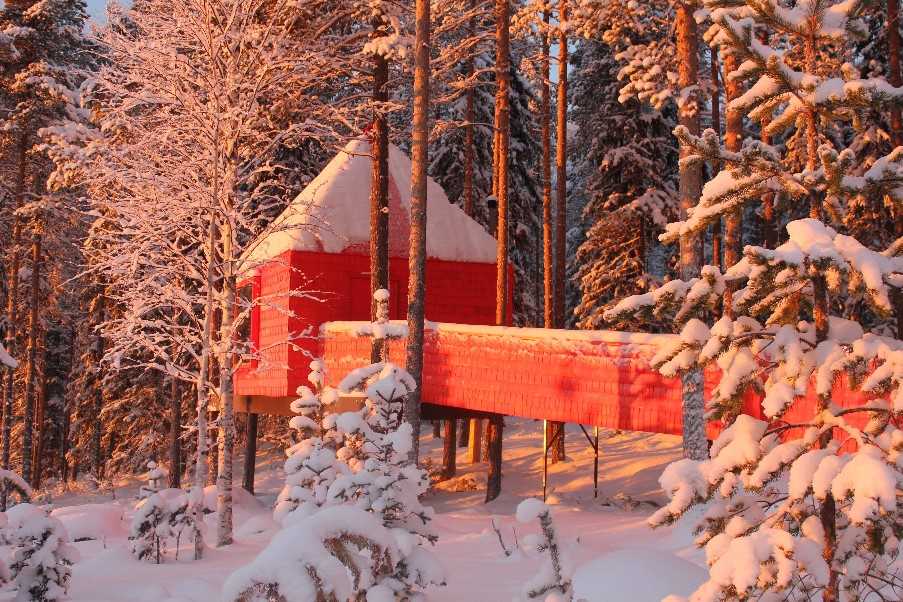 Treehotel (Blue Cone cabin), Harads, Swedish Lapland