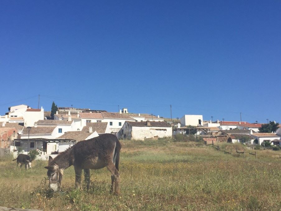 Pedralva to Vila do Bispo