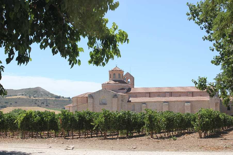 Castilla Termal Monasterio De Valbuena vineyards