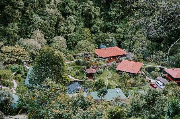 Trogon Lodge, San Gerardo de Dota