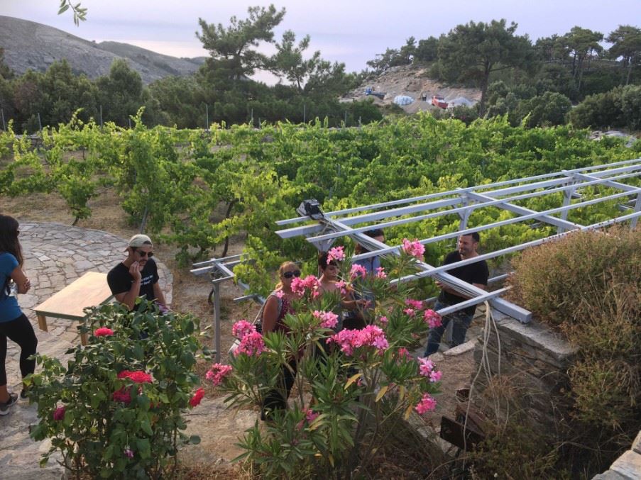 Vineyards of the Afianes wines