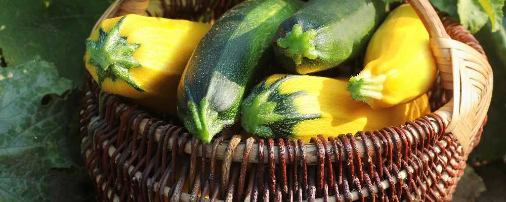 Home grown produce - a real taste of Lefkas