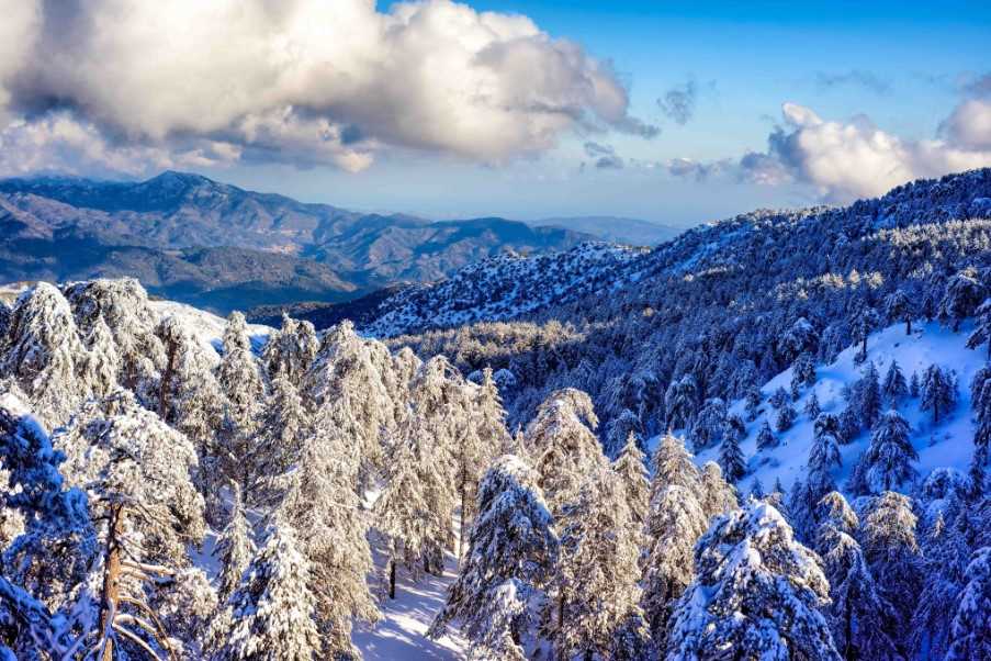 Winter in the Troodos Mountains