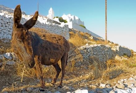 Folegandros, Cyclades, Greece