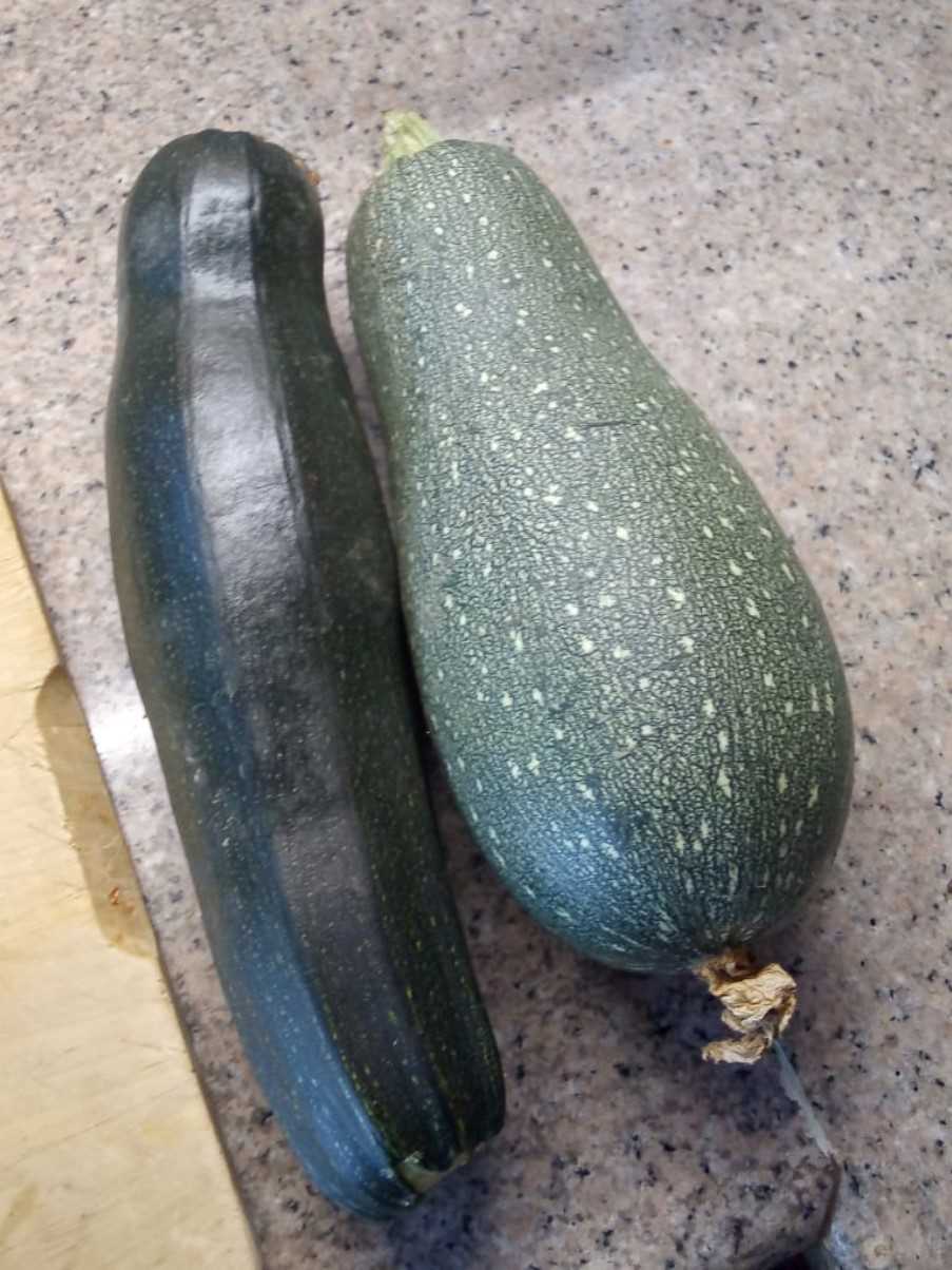 Courgettes from Julie's garden