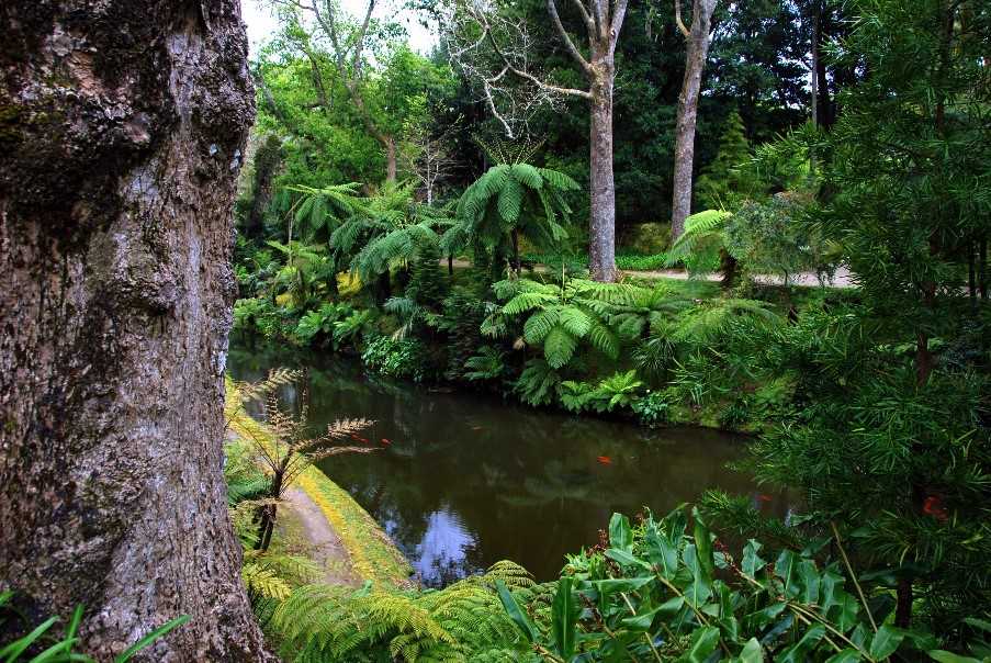 Furnas botanical gardens, Terra Nostra Garden Hotel, Sao Miguel