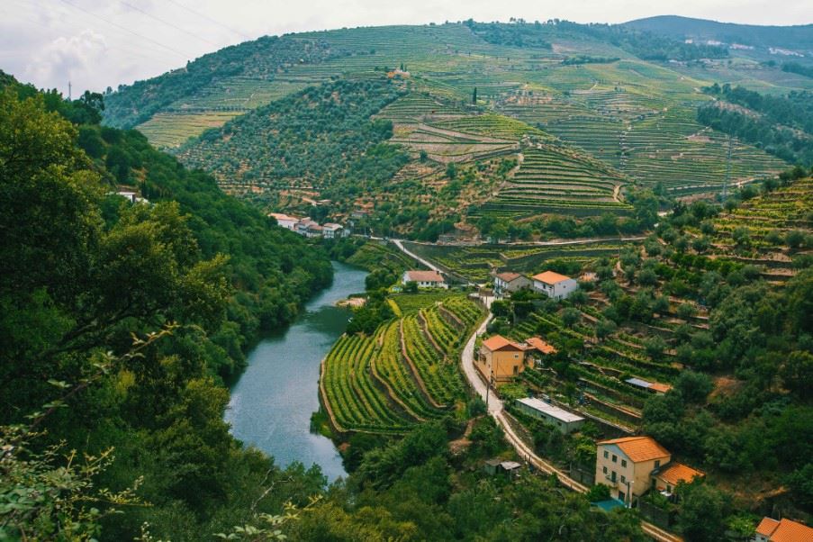 Douro Valley, Portugal