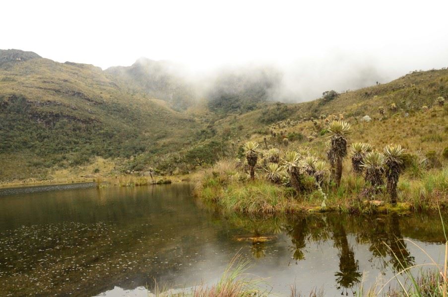 Santuario de Fauna y Flora Iguaque, Colombia