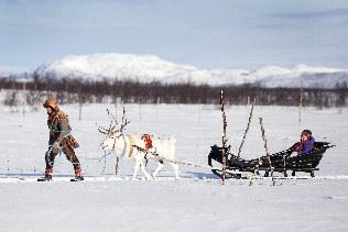 Winter adventures in Swedish Lapland