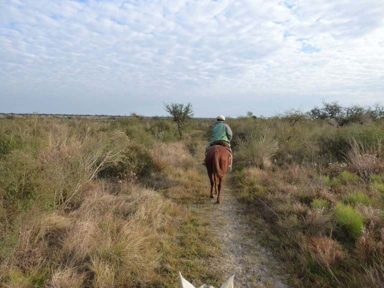 Horse riding through the grasslands