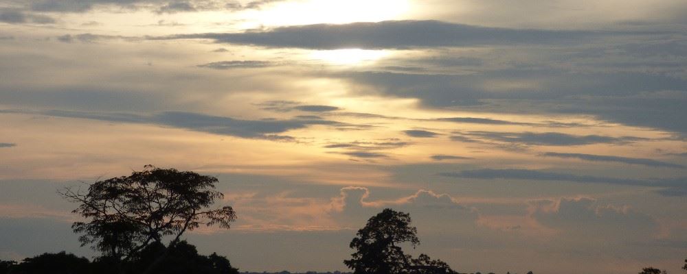 Amazon Basin, Peru