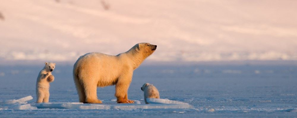 Svalbard, Norway