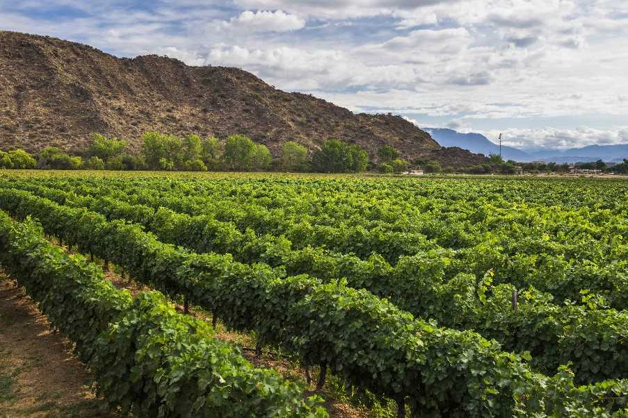 Cafayate, Argentina