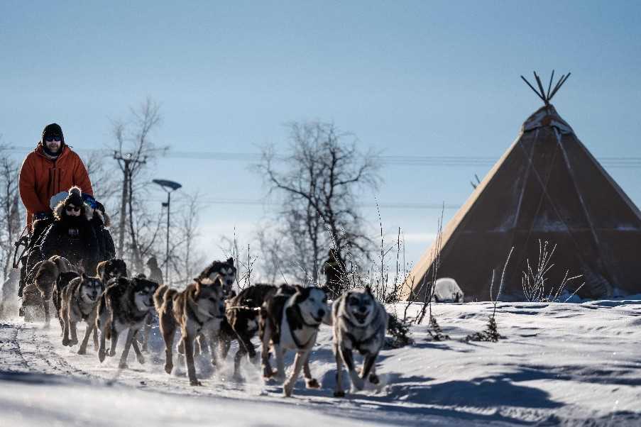 Dog sledding