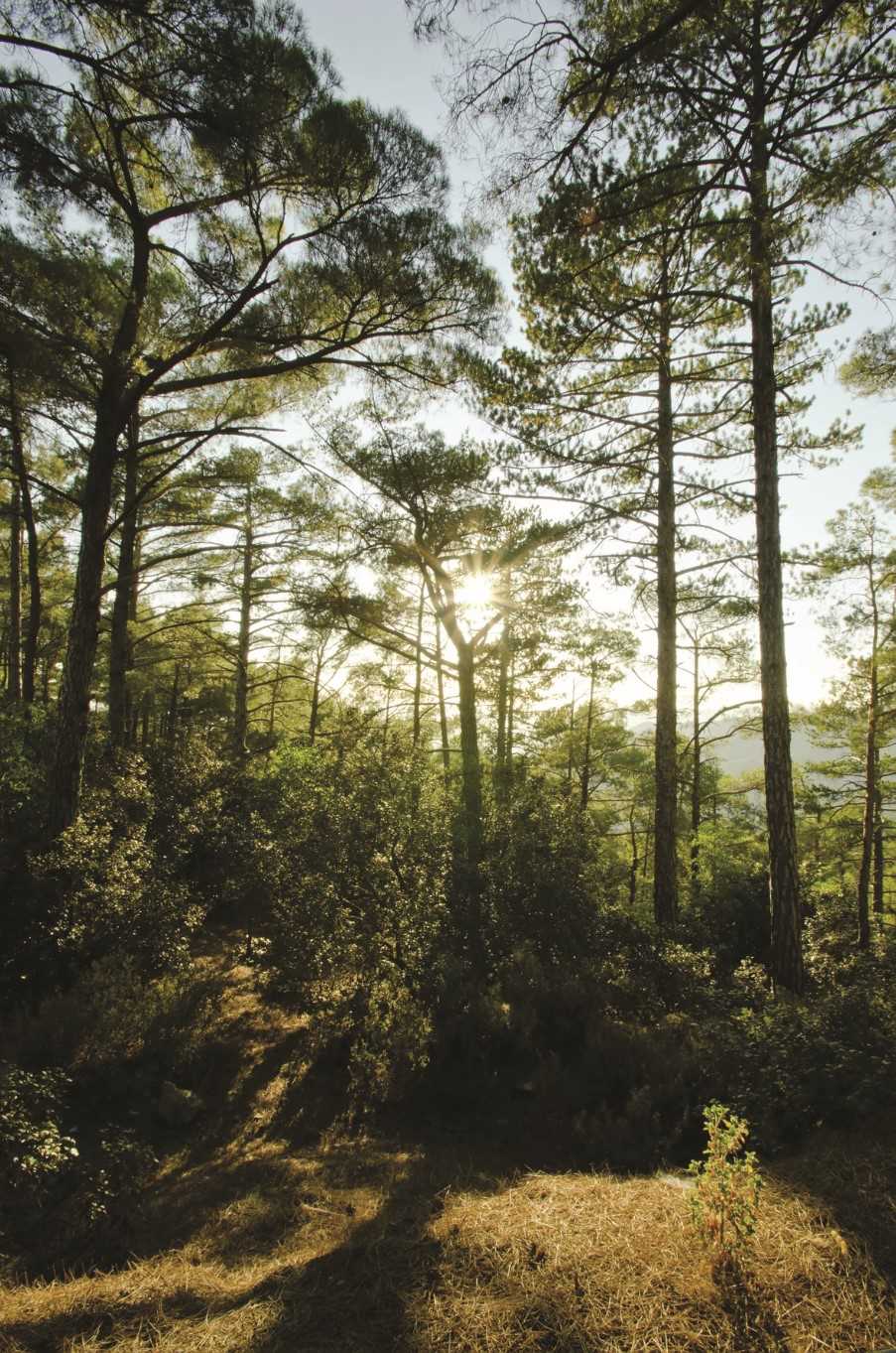 Troodos Mountains, Cyprus