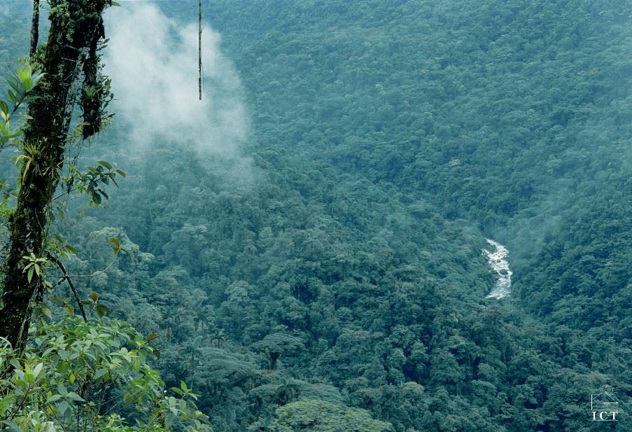 San Gerardo de Dota, Costa Rica