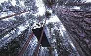 The Cabin, Treehotel, Harads, Northern Sweden