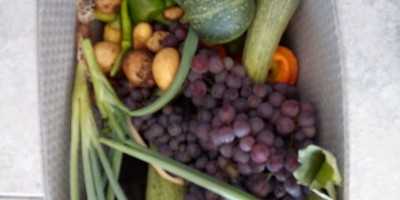 Home grown produce - a real taste of Lefkas