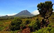 Mount Pico, Pico