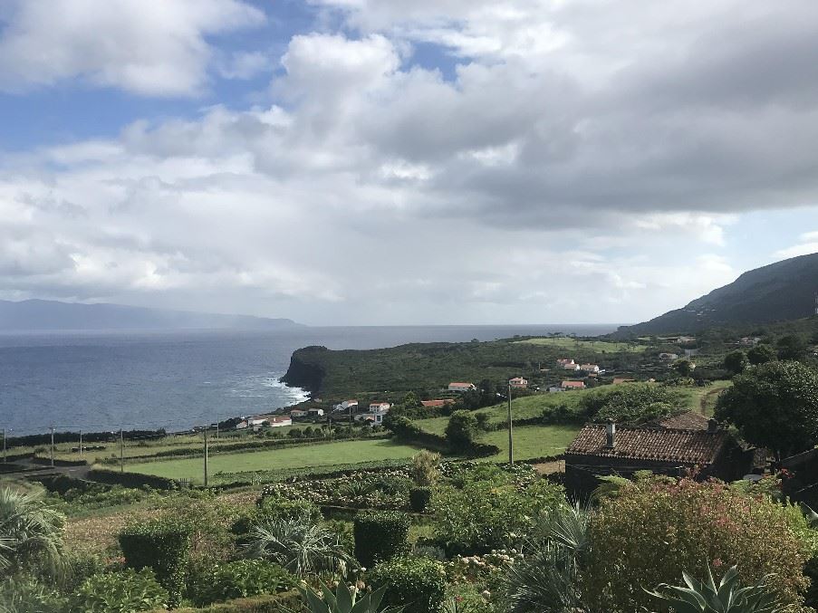 Pico, The Azores