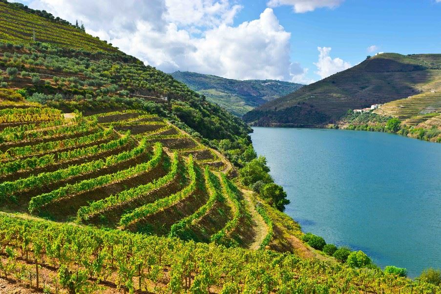 Douro River Valley