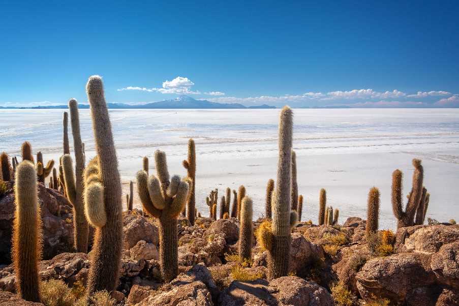 Uyuni Salt Lake, Bolivia