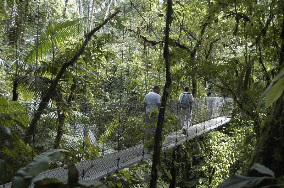 Hanging gardens (suspension bridges) in Arenal