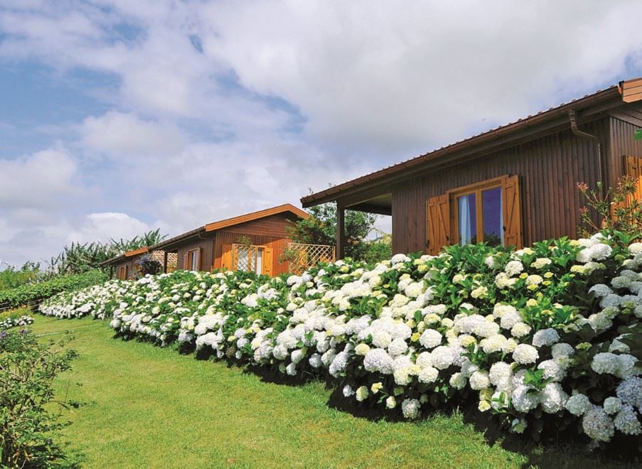 Quinta Dos Curubas, Sao Miguel