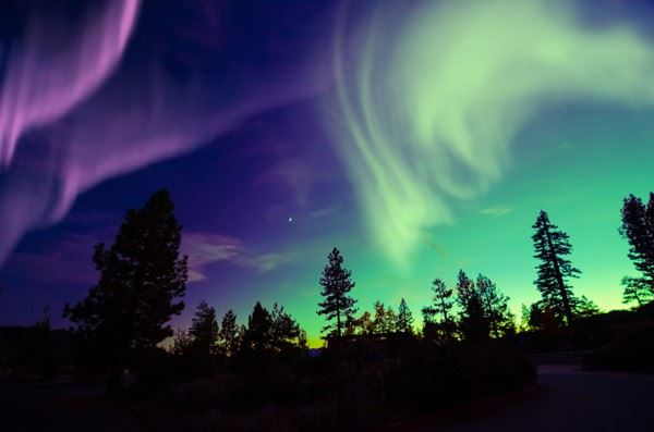 Tromsø Northern Lights