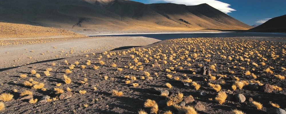 Atacama Desert, Chile