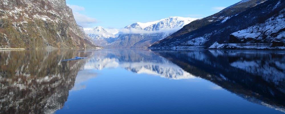 Norwegian fjords